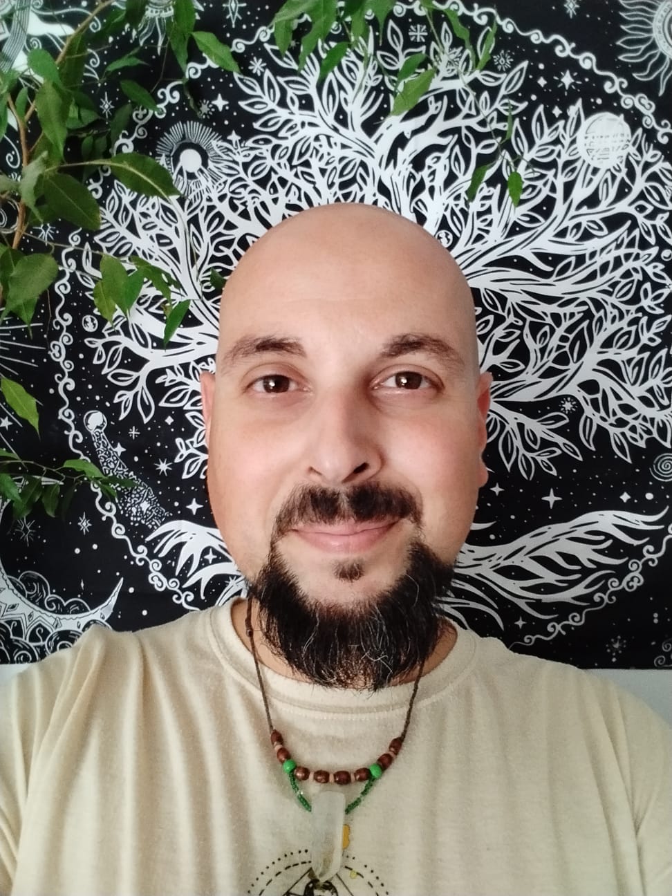Diego Ruiz Maestro Reiki Terapeuta Reiki